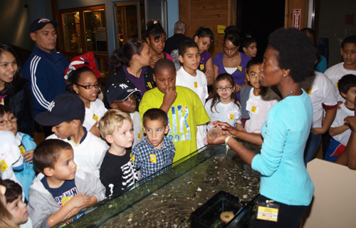 Brooklyn Children’s Museum Event Article By Vicki Fenton